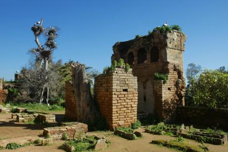 paysage magnifique au bort de la kabili