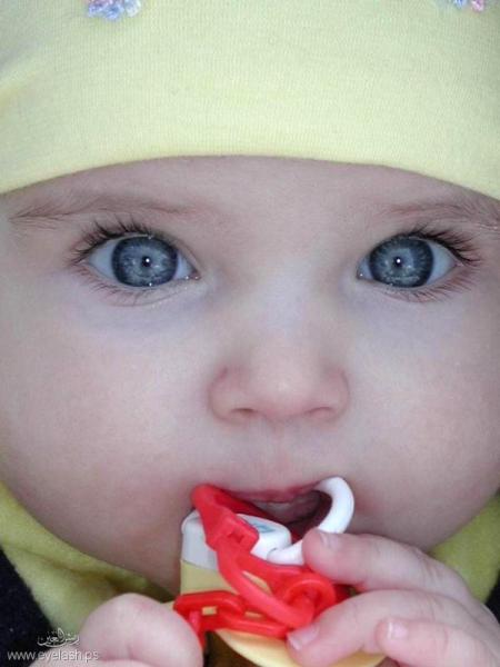 c'est trop mimi n'est ce pas