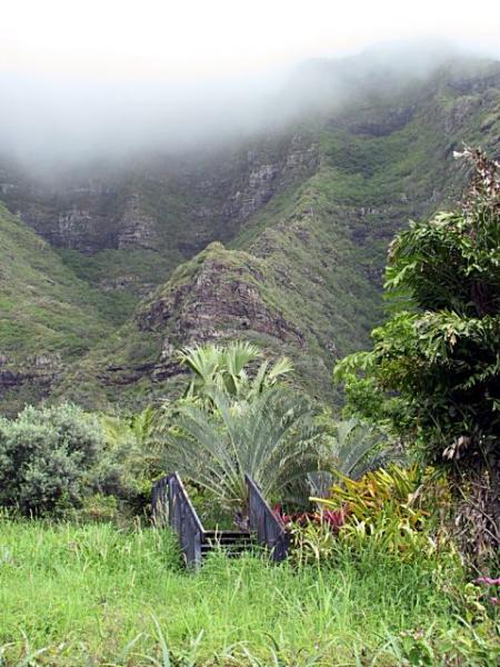 paradis nn jamais paradis