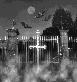 photo goth que j aime ou se degage sensualite et noirceur et romantisme