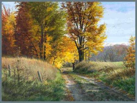 vous etes tres loin mon frere hamid