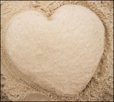 mon magicien de bonheur